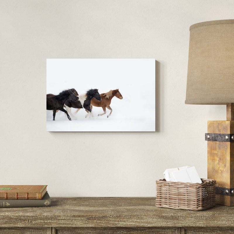 Snow Run IV par P.H. Burchett - Photographie sur toile tendue, H 12 po x l 18 po x P 1,25 po