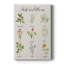Toile tendue avec châssis de qualité supérieure Herbs And Flowers-1548103834