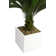 Panama 54" Artificial Palm Tree in Planter
