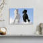 Chevaux frison d'hiver-107471579