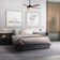 Alizabeth 60'' Ceiling Fan with LED Lights