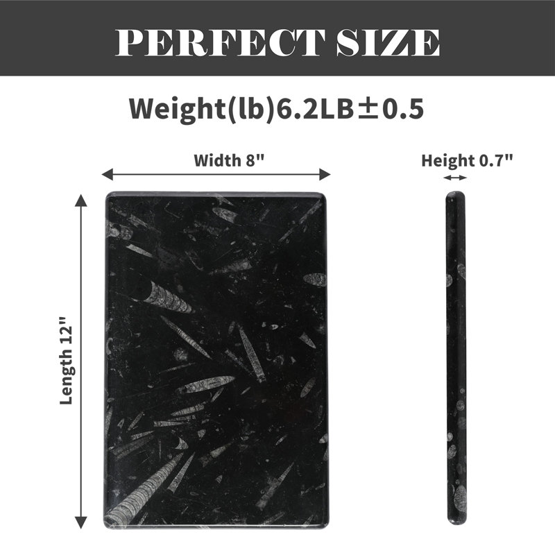 Plateau rectangulaire en marbre naturel Guein, fossile noir