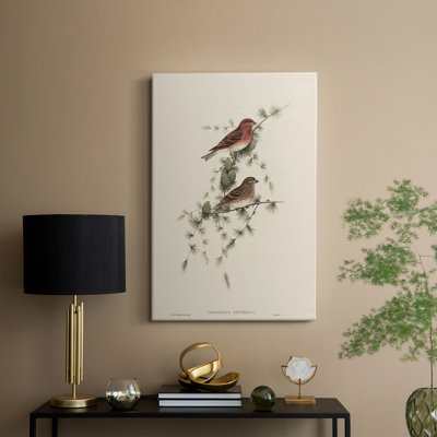 Imprimé animalier rétro - galerie Cavas
