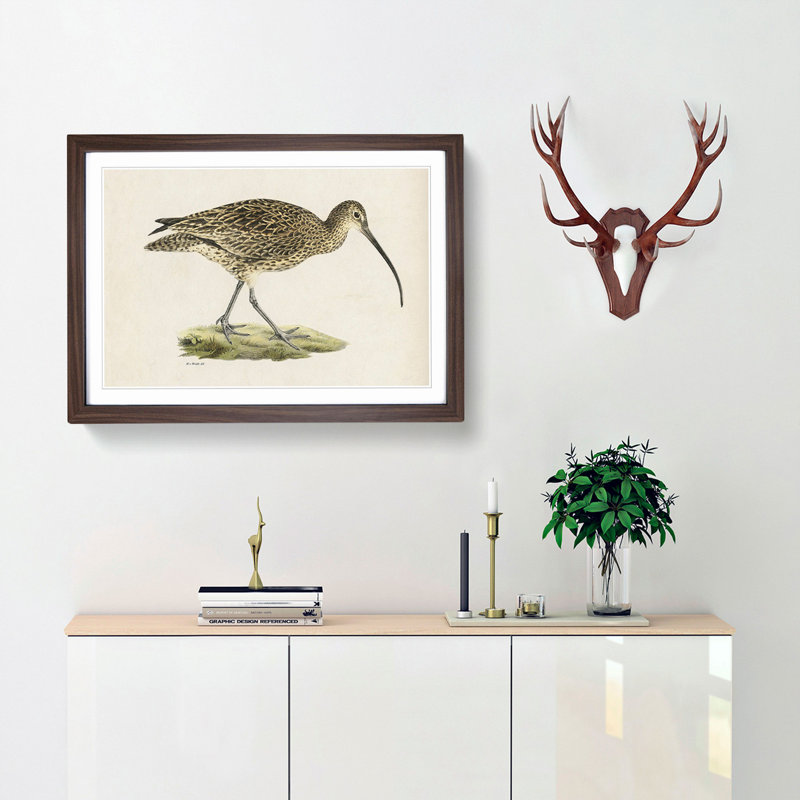 Eurasian Curlew by Von Wright - Framed Print, 27cm H x 36cm W x 2cm D, Walnut Framed