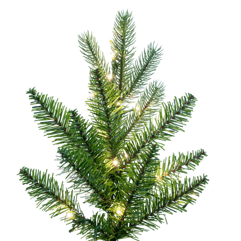 Vickerman Balsam Spruce Slim Artificial Christmas 12' H Lighted Artificial Spruce Christmas Tree, 12' H x 65" W