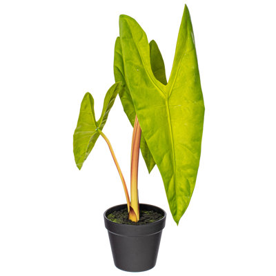 Plante artificielle en pot Alocasia Aequiloba de 20 po x 9 po Primrue.