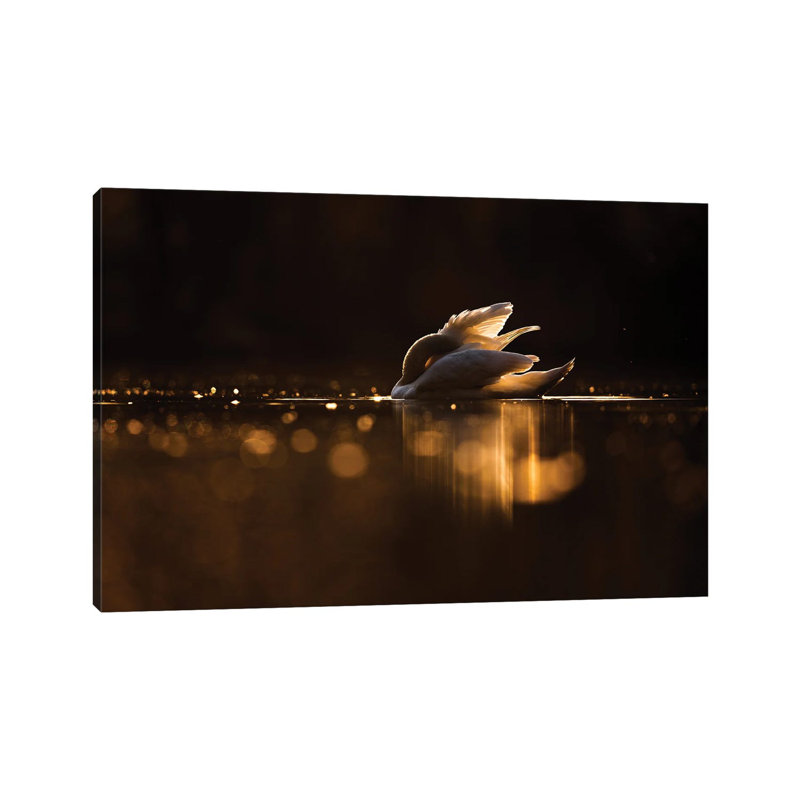 Hidden 1 Piece Wrapped Canvas Wall Art, 66.04 cm H x 45.72 cm W x 3.175 cm D