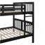Lit superposé double au-dessus de double avec échelle pour chambre à coucher, mobilier de chambre d'amis - espresso-2109811228