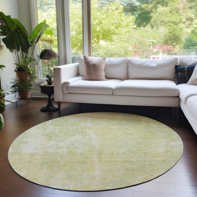Tapis Kinslee