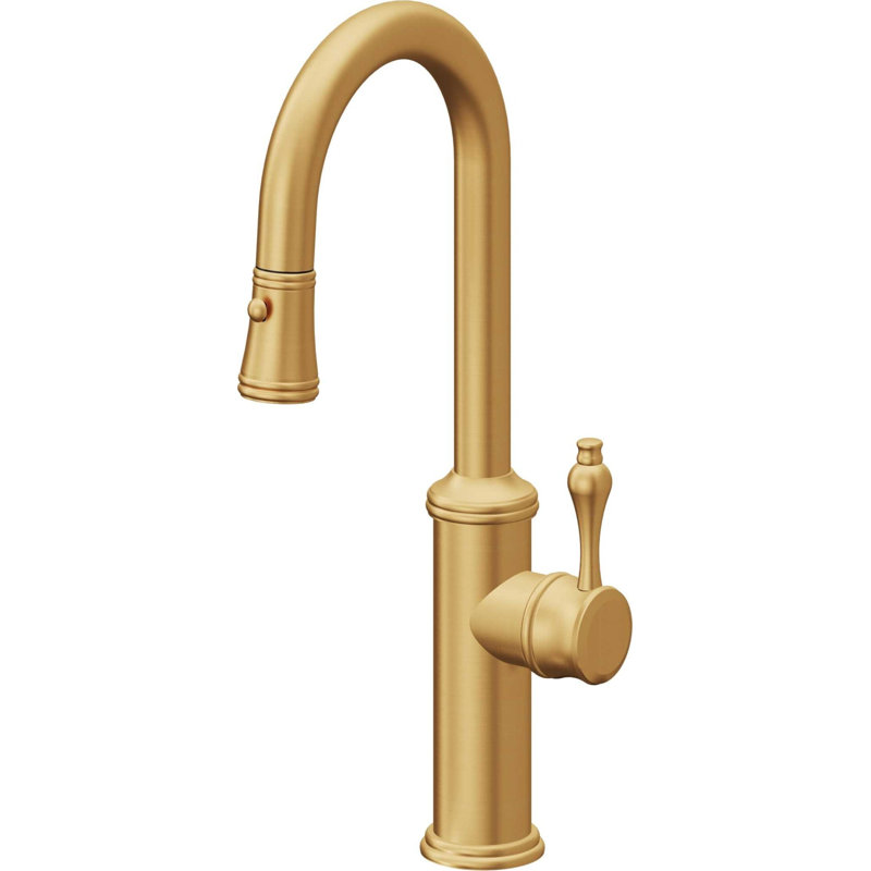 Davoli Pull-Down Prep/Bar Faucet with Button Sprayer, Polished Brass