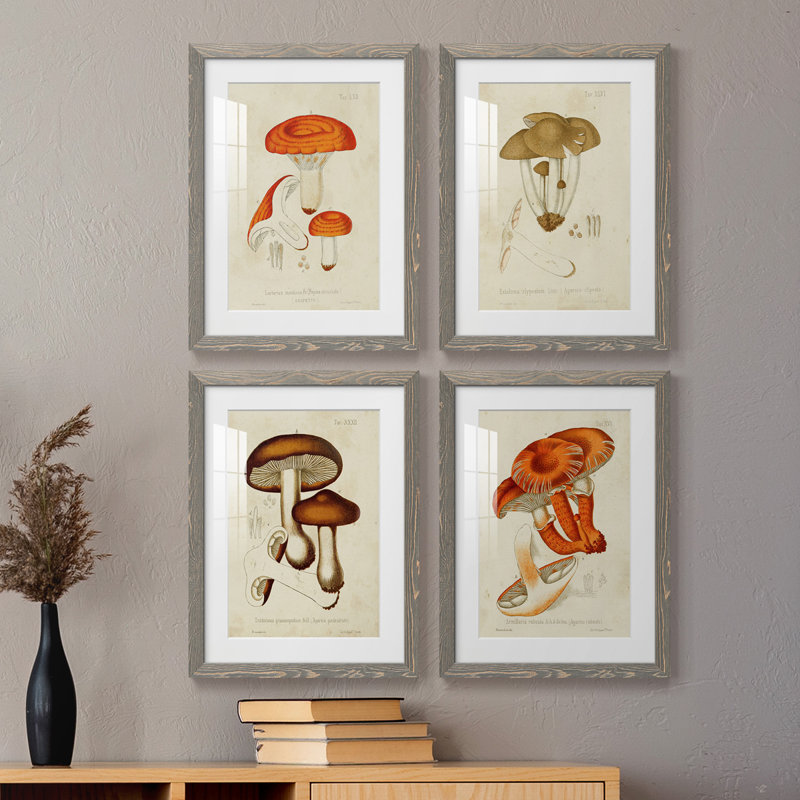 Champignon Variétés, H 37,5 po x l 110 po x P 1,5 po, Cadre gris