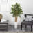 Bamboo Tree in White Tower Planter