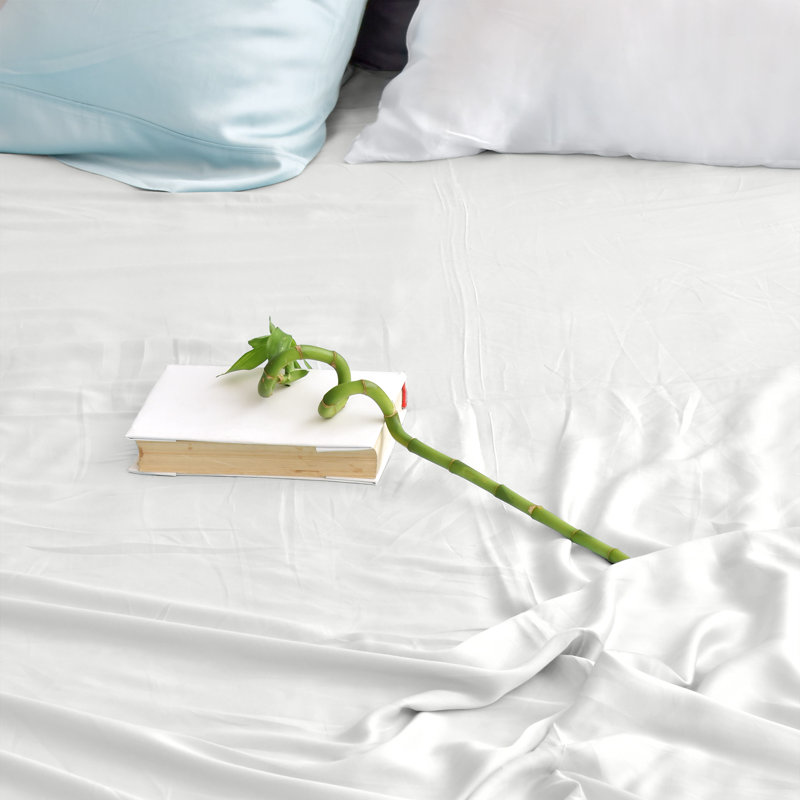 Ensemble de 4 valises pour chambre d'amis, Très grand, Gris