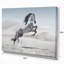 Photographie d'un cheval blanc au galop-35105337-35105343