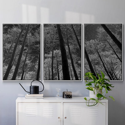 " Night Sky " 3 - Pieces