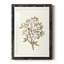«Twig Study II», impression encadrée-1326240118-1326240127