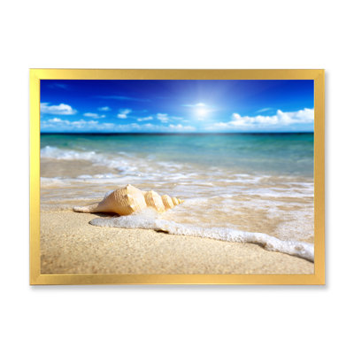 Grand coquillage dans le sable II - photographie sur toile