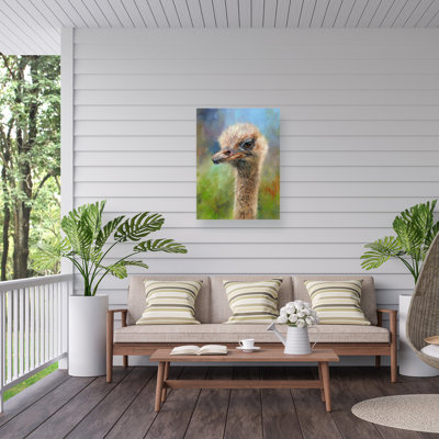 David Stribbling Ostrich Outdoor  Canvas
