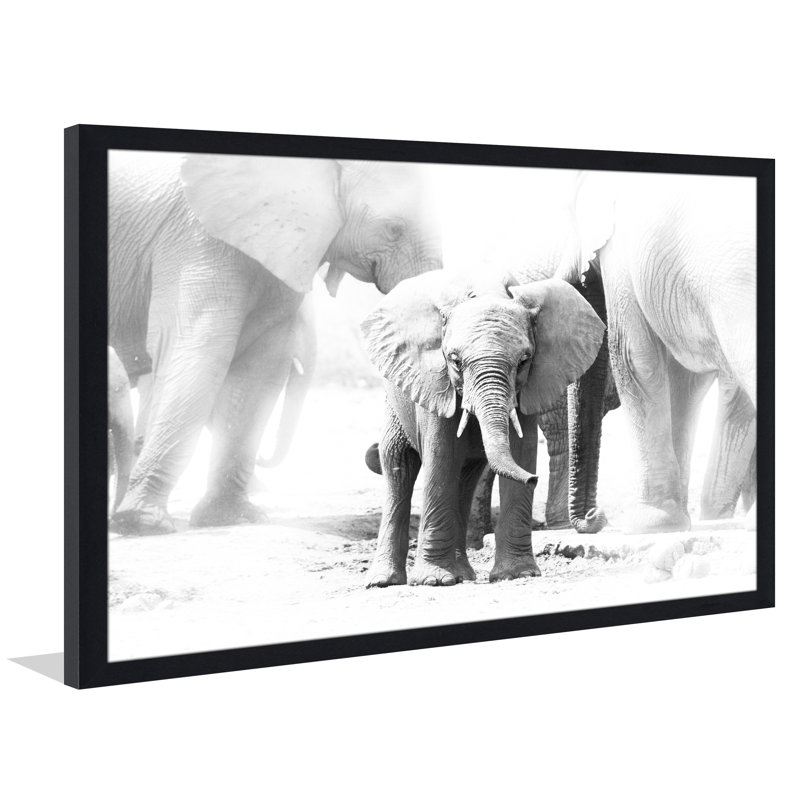 « baby éléphant », reproduction de photo encadrée, H 27,5 po x l 39,5 po x P 0,75 po