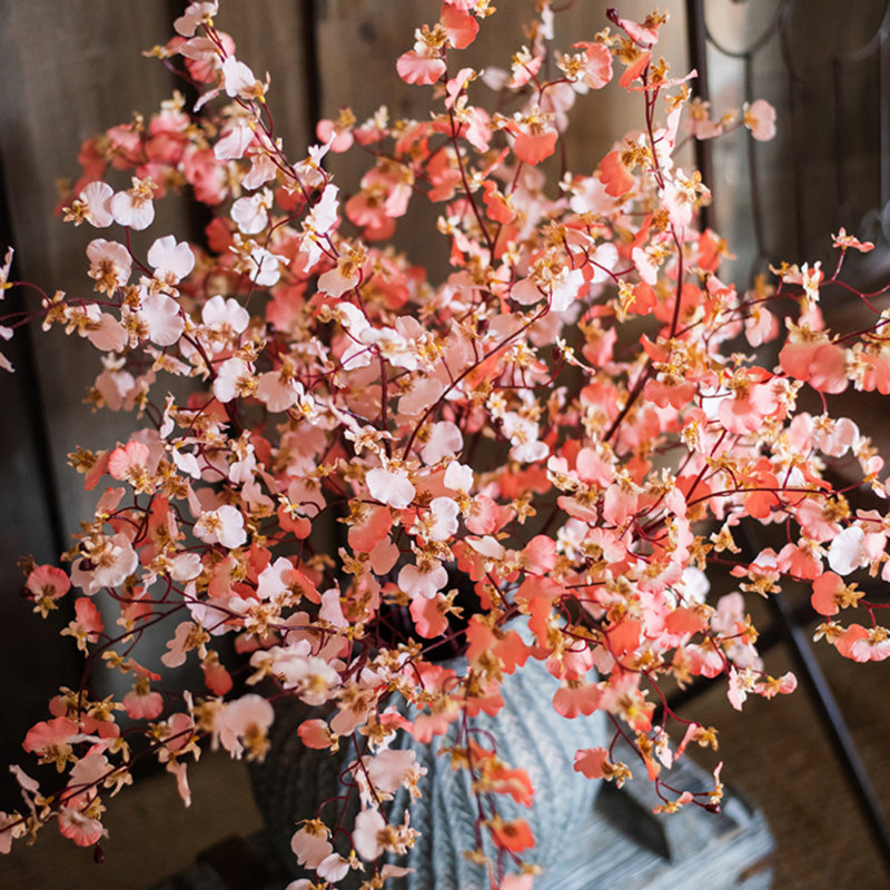 Tige d'orchidée impressionniste Oncidium, 5 tiges, Orange