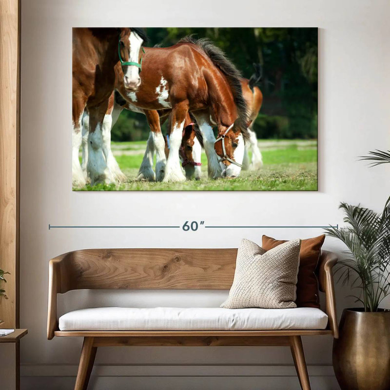 Brampt Clydesdale Horses, 34" H x 51" W