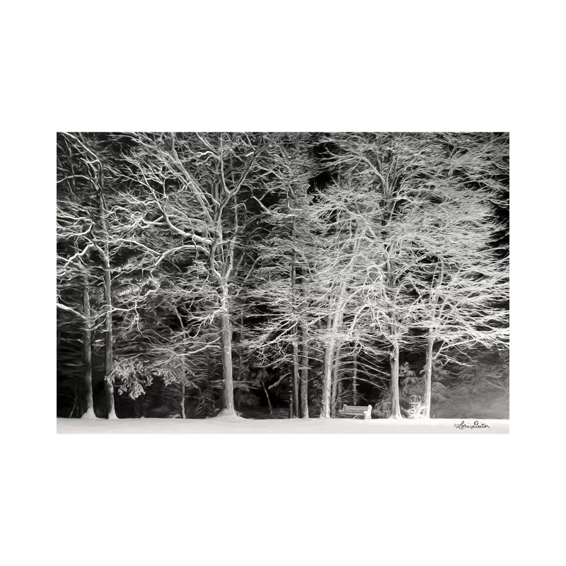 Snowy Trees by Lori Deiter - Wrapped Canvas Print, 20.32 cm H x 30.48 cm W