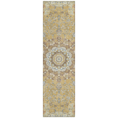 Machine Washable Indoor/Outdoor Chantille ACN2489 Global Rug