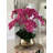 Roberi Arrangement in Pot-318745111-311770224
