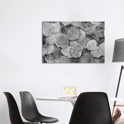 Fallen Autumn Aspen Leaves Covered in Dew Droplets, Colorado 1 Piece Wrapped Canvas Wall Art