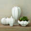 Star Fruit Vase-64402281