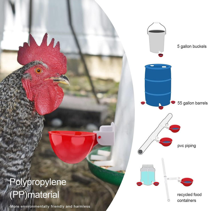 Chicken Drinking Cup 8 Pack