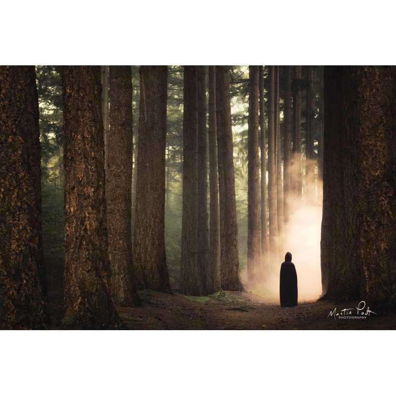 «Ruben II» par Martin Podt - reproduction imprimée, H 8 po x l 12 po, Toile tendue