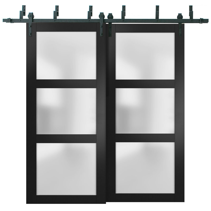 Portes de grange en verre givré Lucia avec quincaillerie d'installation, Noir, 48 po x 96 po