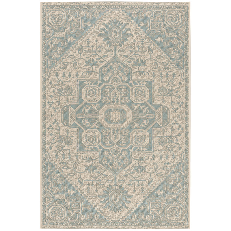 Danya Aqua/Cream Indoor/Outdoor Area Rug, Rectangle 2'2" x 4'