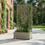 Planter-1860907276-1860907273