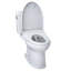 Toilette allongée deux pièces au sol Guinevere 1,28 GPF (siège inclus)