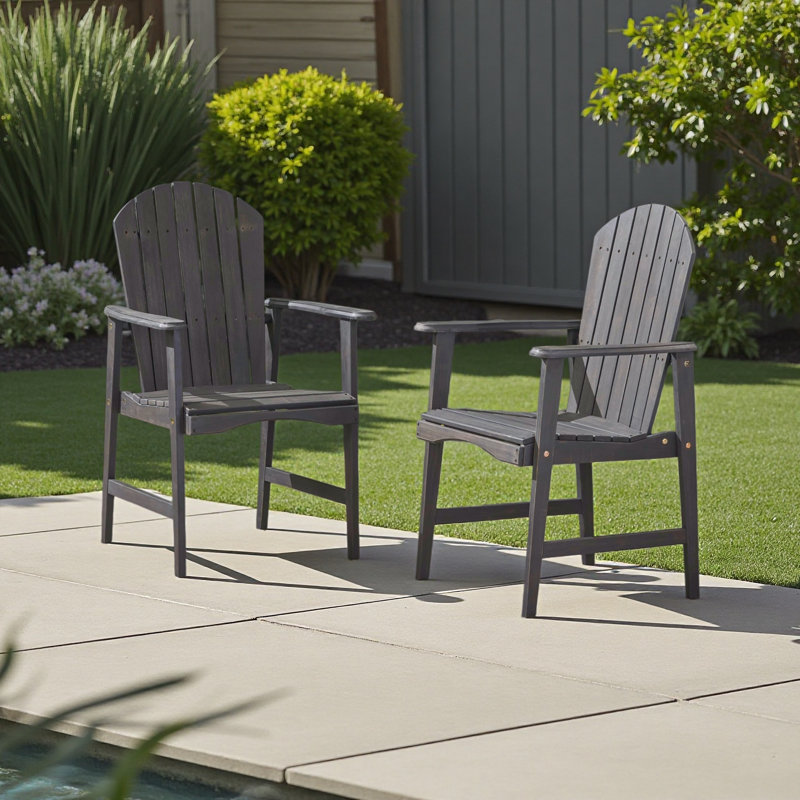 Ensemble de 2 chaises de salle à manger d'extérieur résistantes aux intempéries en bois d'acacia Adirondack, Gris foncé