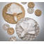 Lune Placemat-308522391