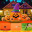 Decoration