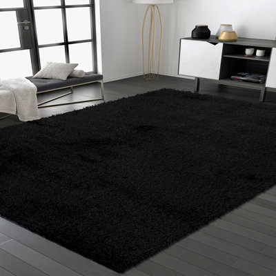 Biamonte Shag Indoor / Outdoor Area Rug