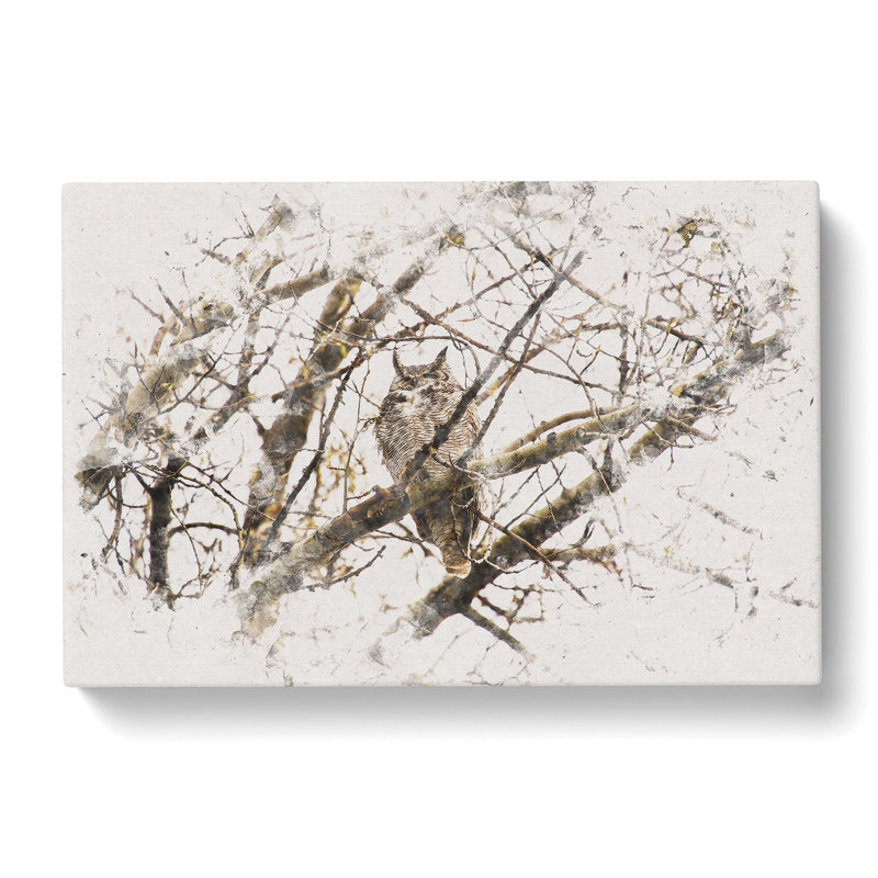Great Horned Owl Resting - Wrapped Canvas Print, 50cm H x 76cm W x 3cm D