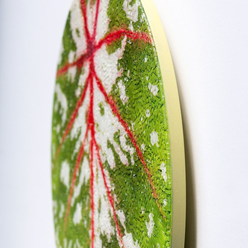 Décoration murale caladium