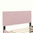 Velvet Upholstered Platform Bed with Trundle-106492950-112511389