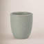 Pacifica Espresso Cups-716801623