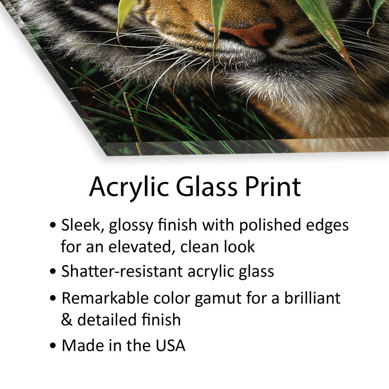 Tigre - impression de forêt émeraude sur verre acrylique