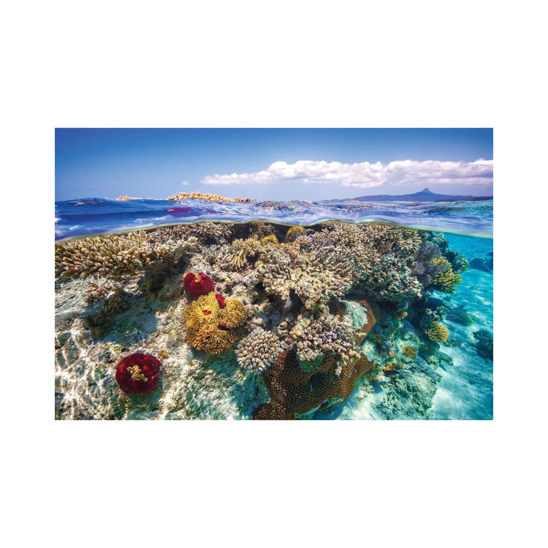 Mayotte The Reef by Barathieu Gabriel - Print on Canvas, Wrapped Canvas, 30.48cm H x 45.72cm W x 1.91cm D