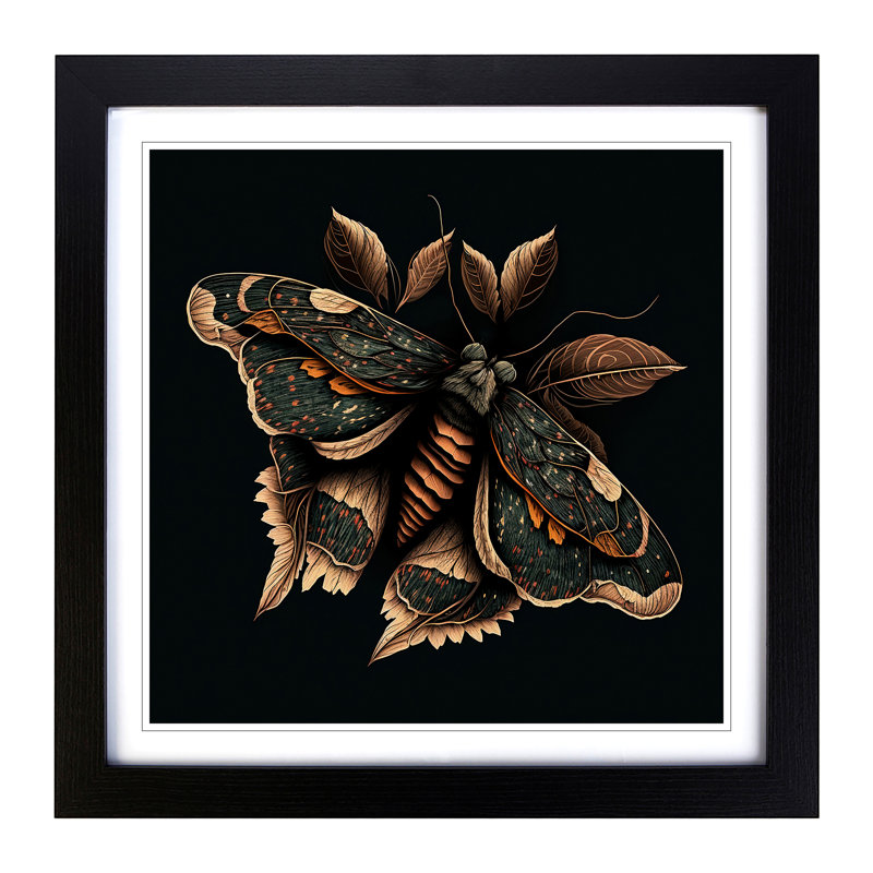 Moth Graphic Art - Framed Print, Black