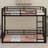 Metal Floor Bunk Bed For Kids, Teens, Adults-1859980666