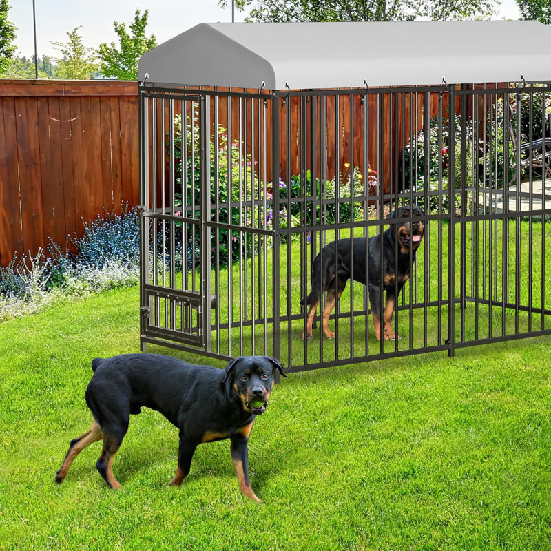 Grand chenil d'extérieur, cage pour chien robuste, H 6 po x l 4 po x P 8 po
