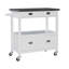 Chariot de cuisine en acier inoxydable de 37,5 po avec roulettes verrouillables Amryis-52791929